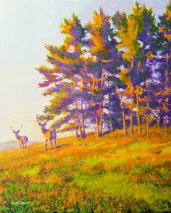 びっくり 作： William Ireland